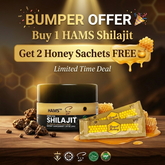 HAMS™ Καθαρή Ρητίνη Shilajit Ιμαλαΐων 30g – Περιλαμβάνει 2 ΔΩΡΕΑΝ φακελάκια Βασιλικού Μελιού VIP