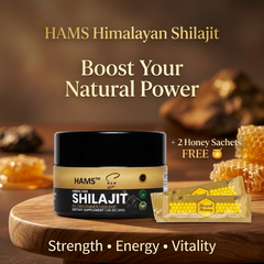HAMS™ Καθαρή Ρητίνη Shilajit Ιμαλαΐων 30g – Περιλαμβάνει 2 ΔΩΡΕΑΝ φακελάκια Βασιλικού Μελιού VIP