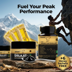 HAMS™ Himalayan Shilajit Resin + UltraPower 12-in-1 Herbal Complex Combo | Premium Wellness Bundle | Includes 6 FREE VIP Royal Honey Sachets
